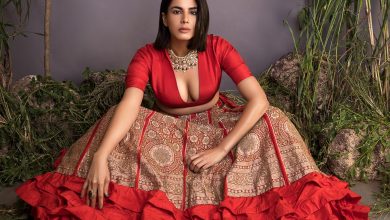 Kirti Kulhari Biography
