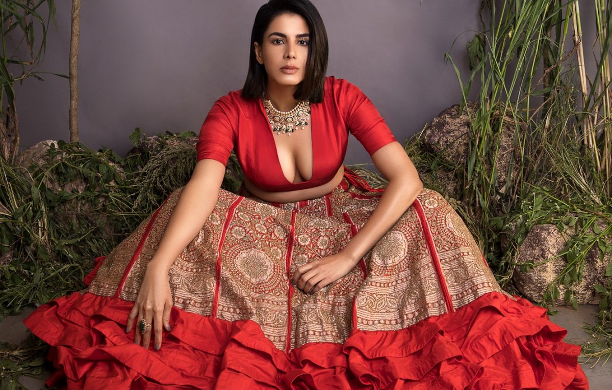 Kirti Kulhari Biography