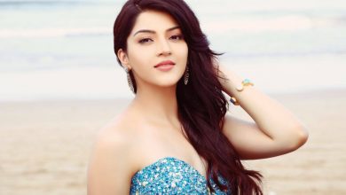 Mehreen Pirzada Biography
