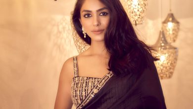 Mrunal Thakur Biography