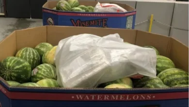watermelons