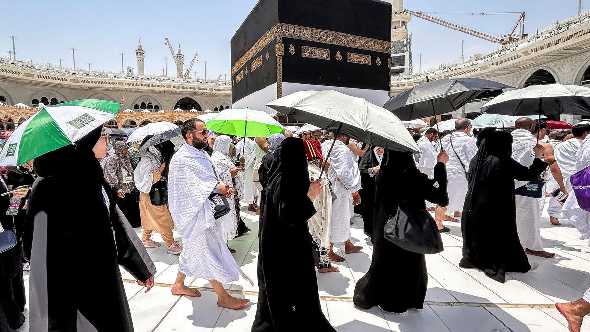 Saudi Arabia Hajj Deaths