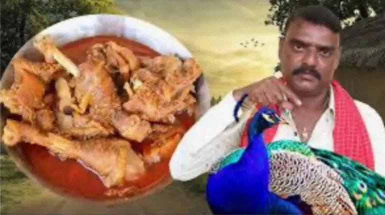 Peacock Curry Video