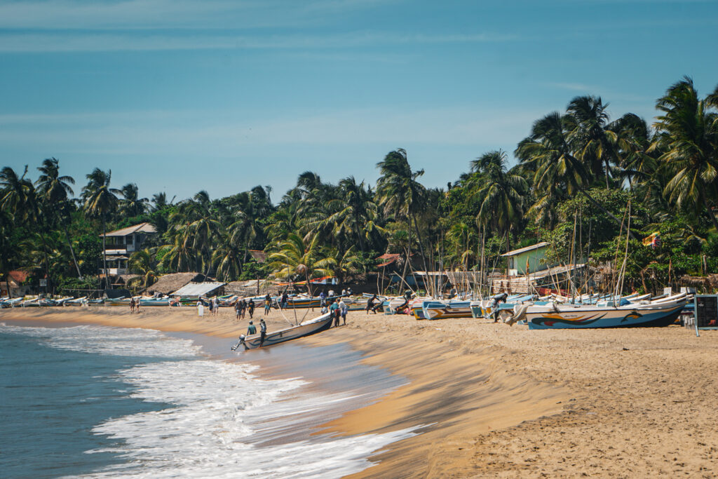 Arugam Bay