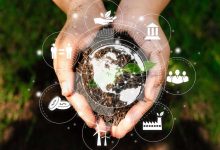 Sustainable Forestry Management: Principles, Practices, and Precision