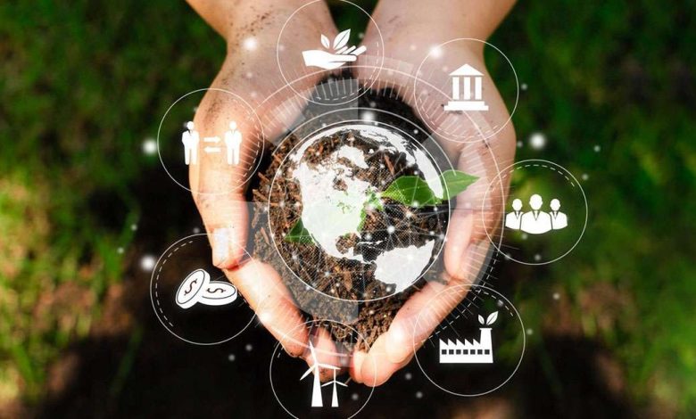 Sustainable Forestry Management: Principles, Practices, and Precision